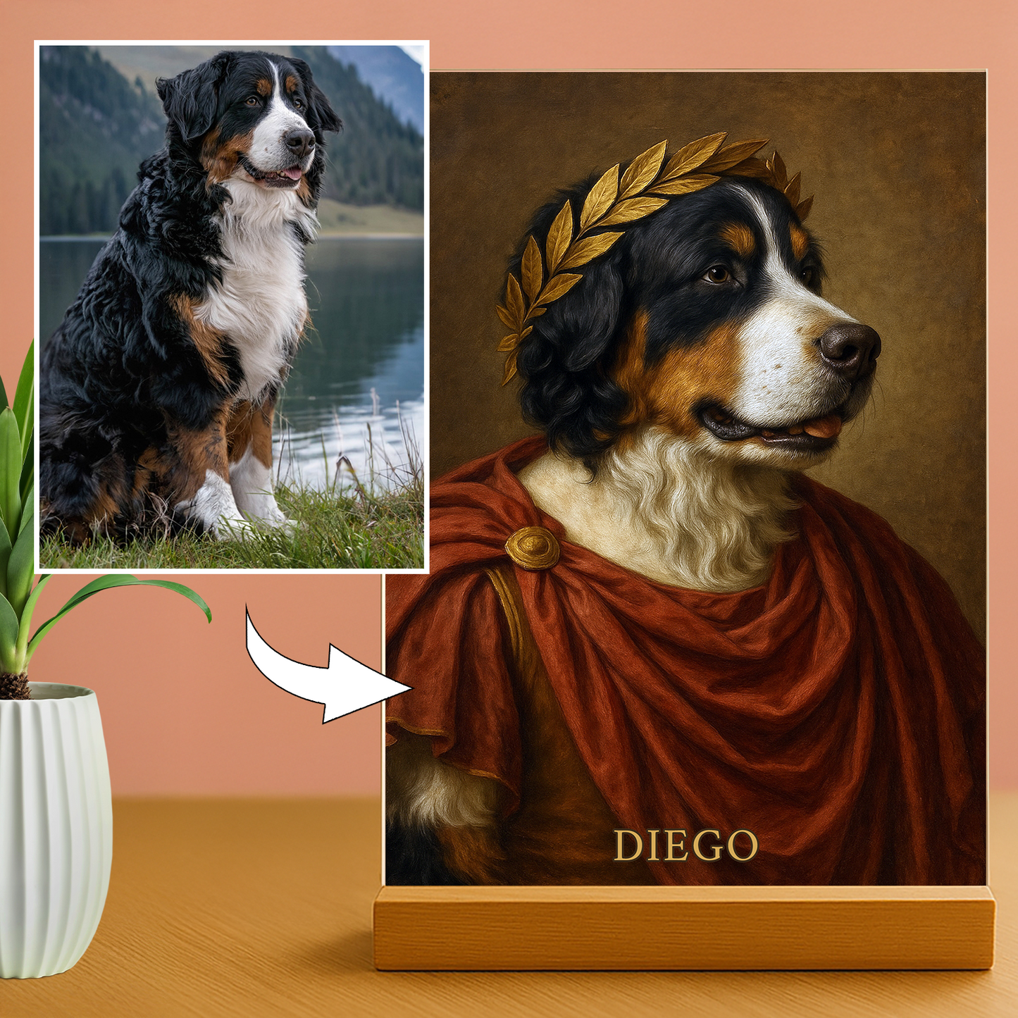 Hund als Kaiser – ein einzigartiges Geschenk für Hundeliebhaber