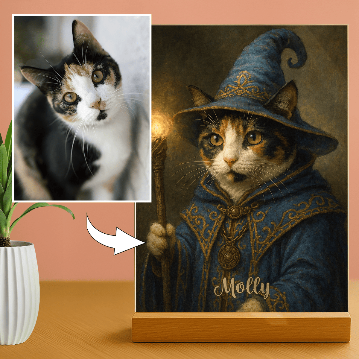 Katze als Zauberer - Acrylglas Porträt für Katzenliebhaber - Emmygift.de